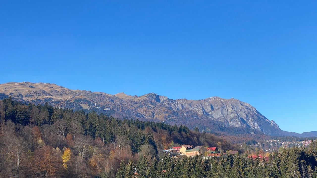 Perfect View Apartment Синая Экстерьер фото